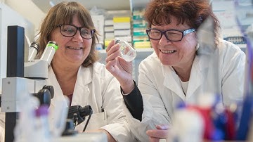 PNAS 2019 Cozzarelli Prize Winner for Class IV: Biomedical Sciences