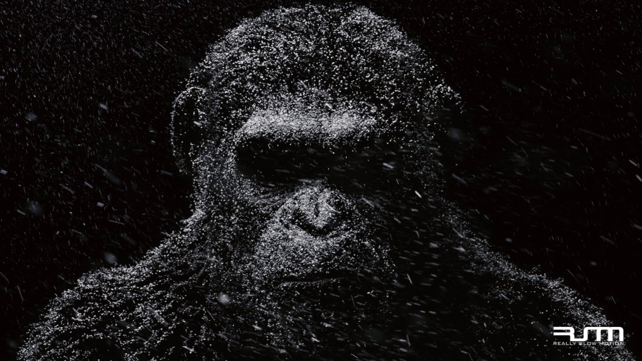 Really Slow Motion  Giant Apes   The Furies WAR FOR THE PLANET OF THE APES   Trailer Music