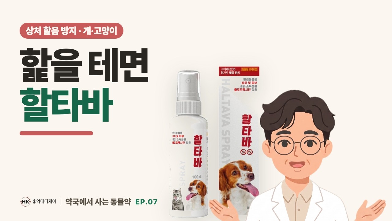 강아지 상처 소득 자꾸 핥을 때, 약국에서 사는 할타바