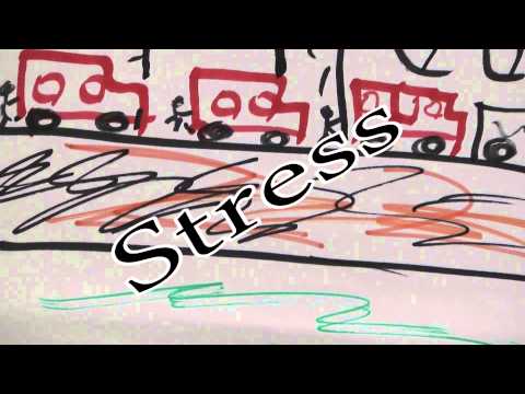 Https Www Youtube Com Watch V FYb3imFdUbk 