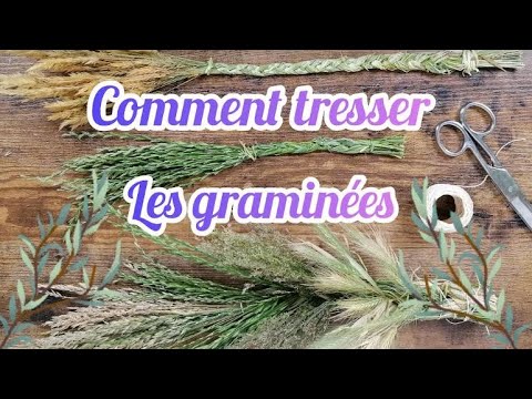 COMMENT TRESSER LES GRAMINÉES