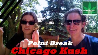 Review of Point Break by Chicago Kush - Illinois Cannabis Review