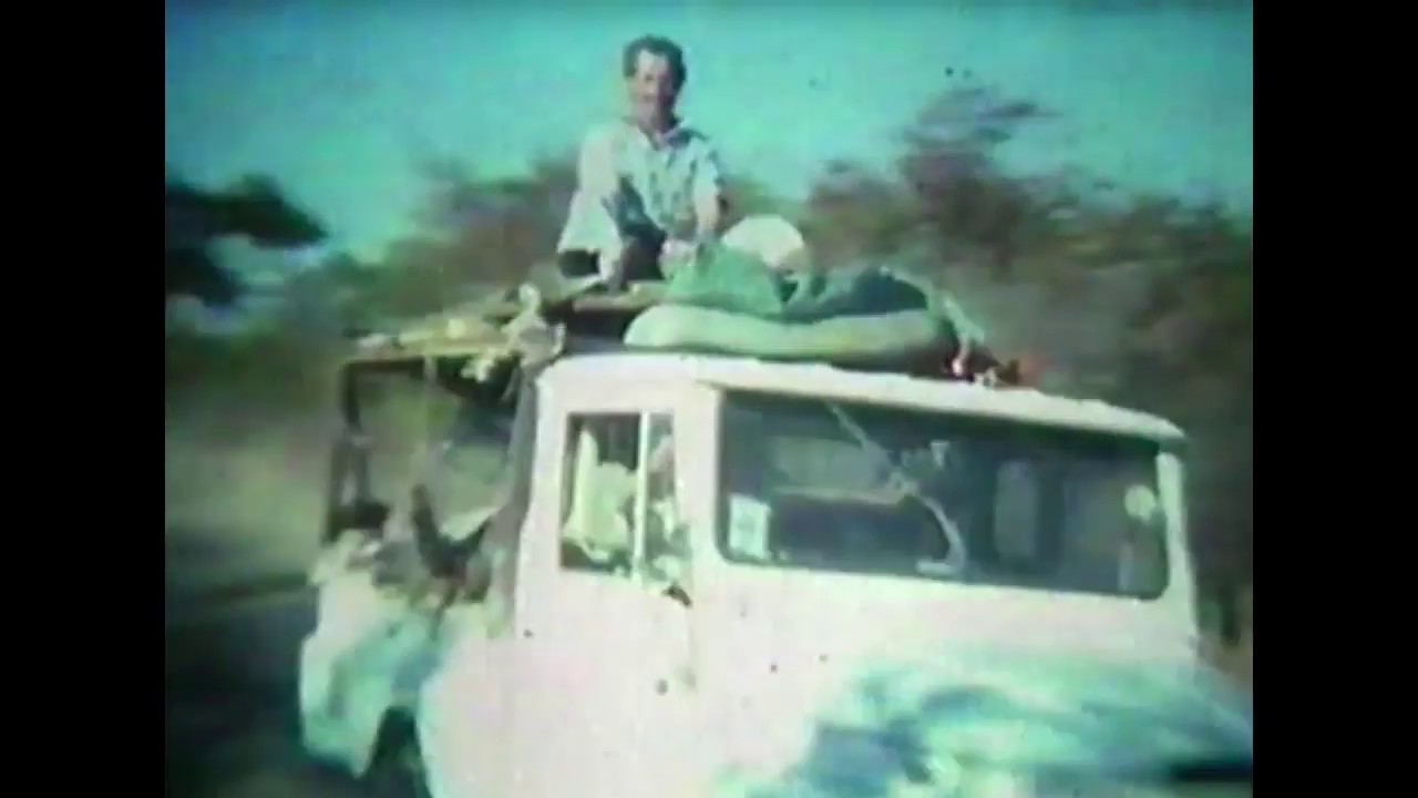 The Fishwives - Leadwood and the Lion