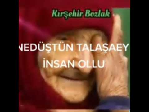 Ne düştün telaşa ey insan oğlu