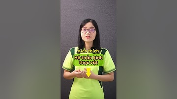 Tại sao căng thẳng, stress kéo dài lại gây đau dạ dày?