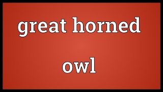 Great horned owl Meaning