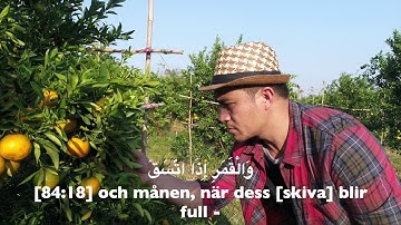 84. Al-Inshiqaq, Svenska,  Ahmed Al-Nufays,  سورة الانشقاق