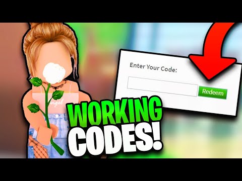 How To Put & Use Codes In Bloxburg 