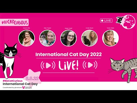 International Cat Day 2022 - Live Q&A session with a panel of experts!