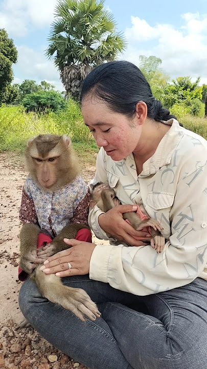 Great Video of SokYaa,ToTo , Phao And Sokhaa are HARMONY And Fun Will MAKE YOU SMILE