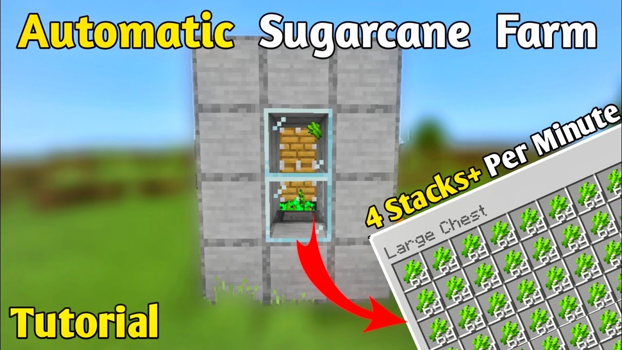 Easy 1.19 Automatic Sugarcane Farm Tutorial in Minecraft ( PE / Bedrock ...