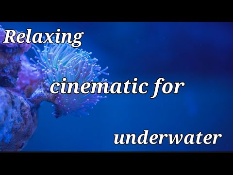 beautiful relaxing music and piano music or beautiful underwater nature from cinematic nature..
