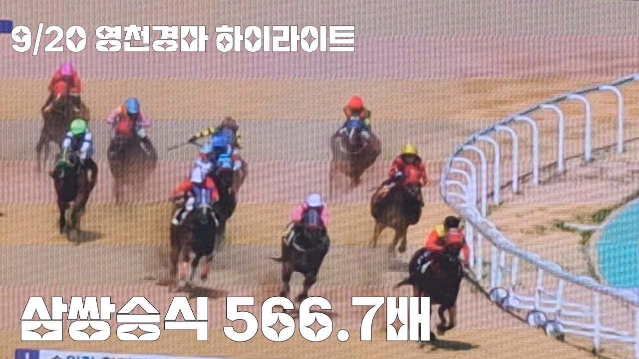 영천경마 알고나면 마추기쉽다?(9/20영쳔경마 3경주 하이라이트)