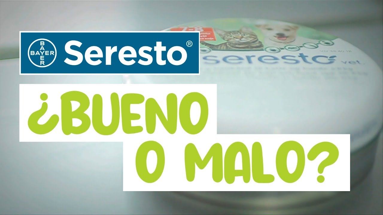 OPINIÓN SOBRE "SERESTO" COLLAR ANTIPULGAS - Proyecto Pet Perú