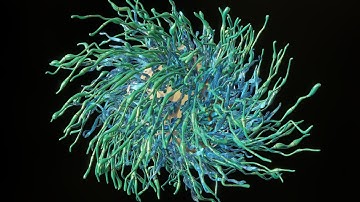 Unique green and blue tentacles motion graphics animation | 4K HDR