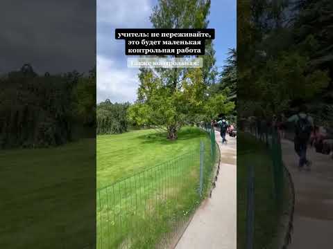 «Всё сдал!» - помощь студентам! 🔥