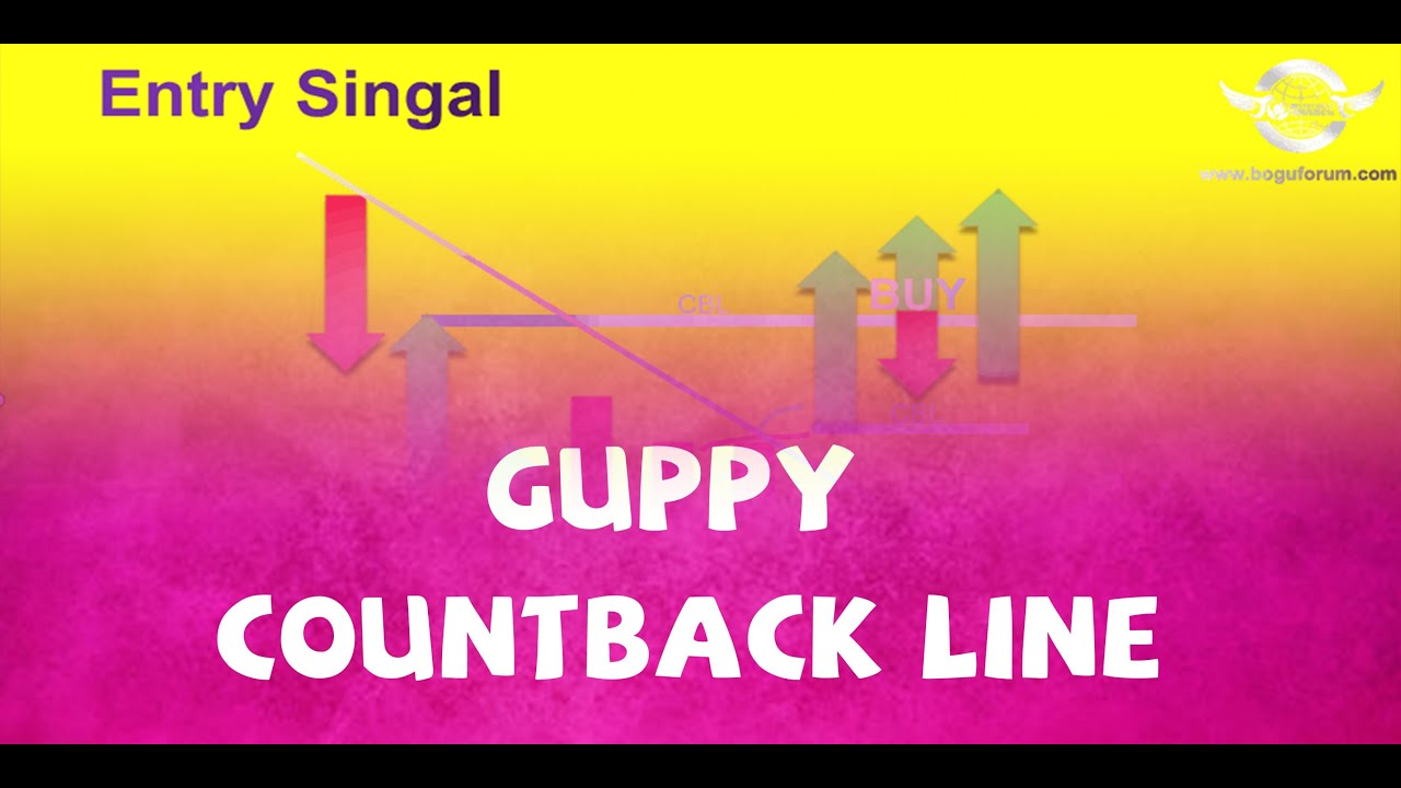 Guppy Countback Line helps you find entry singal—— Bogu International Investment Forum