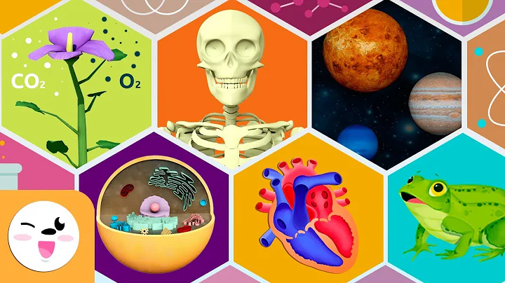 Natural Science for kids - Human body systems, the plant, the cell, the Solar System, animals - DayDayNews