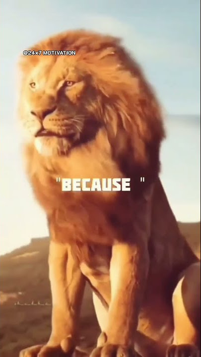 Game over 💯🔥best motivation status| 24×7 MOTIVATION #lion #shorts #motivation