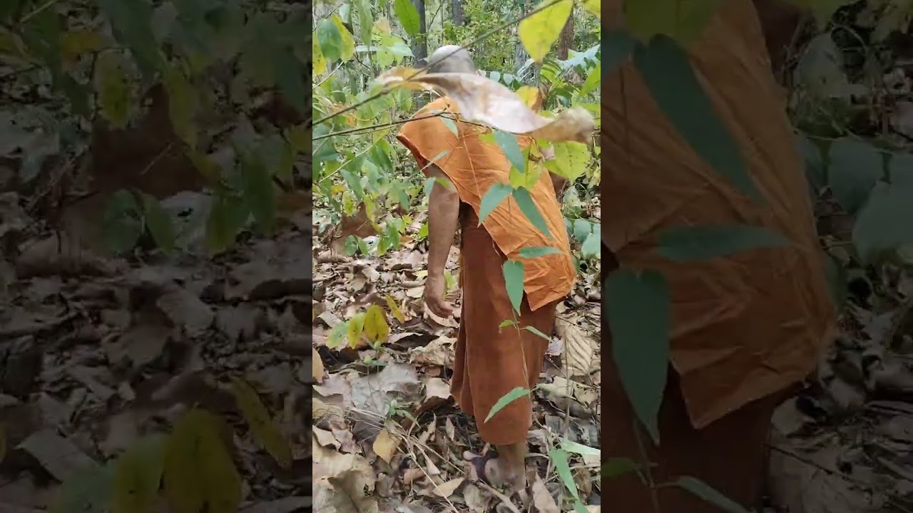 26 กุมภาพันธ์ ค.ศ. 2026