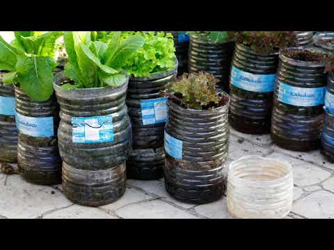 Βίντεο: Λαχανόκηπος σε δοχεία