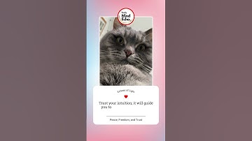 Trust Your Inner Guidance #DailyMindEcho