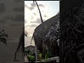 Ultimate Goa - West Coast of India #shorts