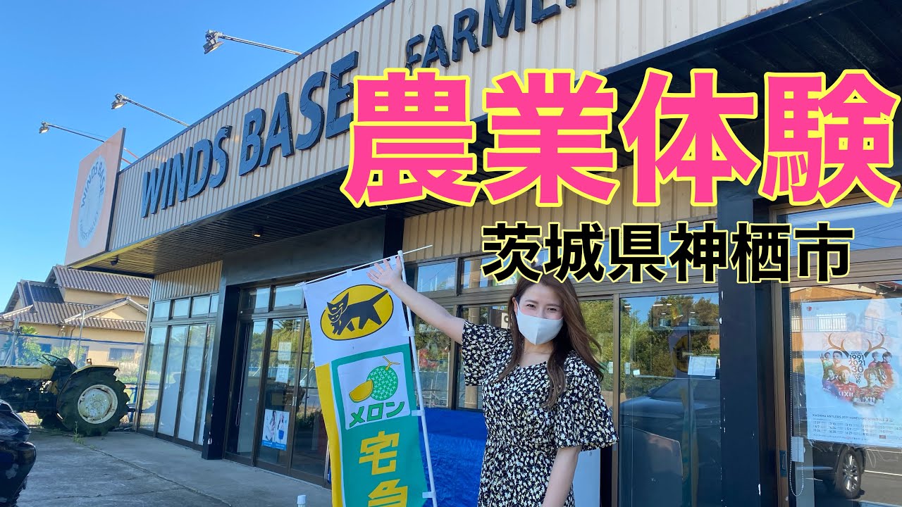 ピーマン詰め放題が５５円 茨城県神栖市にある未来型農業施設 Winds Baseさんご紹介 Youtube