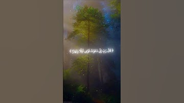 سورة نوح (5-7) للقارئ #شريف_مصطفى #quran #foryou #اجر_لي_ولك #راحة_نفسية #viral