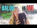My Dog Baloo&#39;s Portfolio vs Mine, First Monthly Update, Let&#39;s See Who Wins | Wealth in Progress