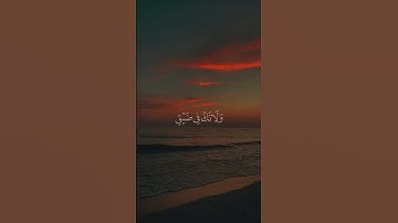 القارئ : علي جابر | ماتيسر من سورة النحل #قرآن #quran #علي_جابر #اكسبلور