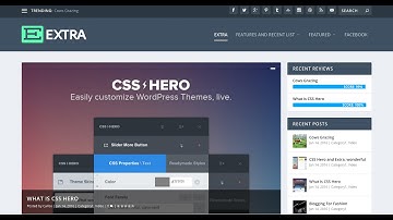 Some CSS edits on Extra WordPress theme