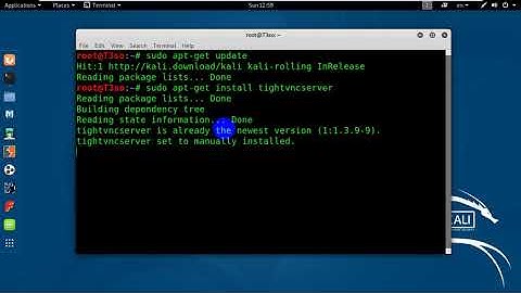 How to Install VNC on Kali Linux
