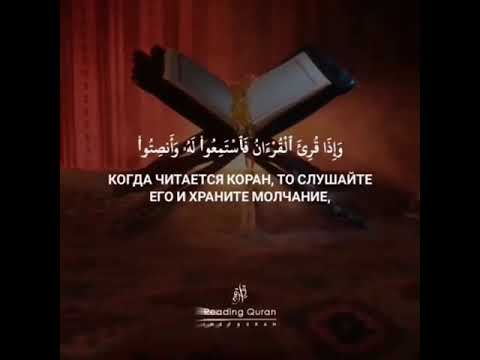 Слушайте коран и храните молчание. Когда читается Коран то слушайте. Когда читается Коран то слушайте его и храните. Когда читается Коран храните. Когда читается Коран храните молчание.