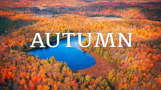 Enchanting Autumn Forests with Beautiful Piano Music🍁4K Autumn Scenic Relaxation & Fall Foliage by Enjoy Nature 84 views 6 months ago 24 hours