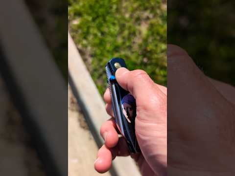 Limited Carry so far Today.  