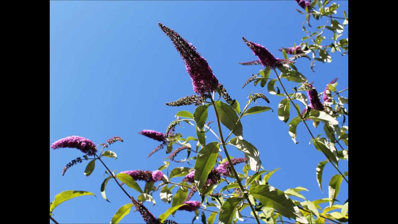 Sun, Sand and Synth (Techno Pop Christian Song)