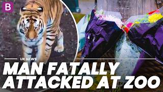 What YOU need to KNOW about the fatal TIGER ATTACK at Yorkshire Wildlife Park!