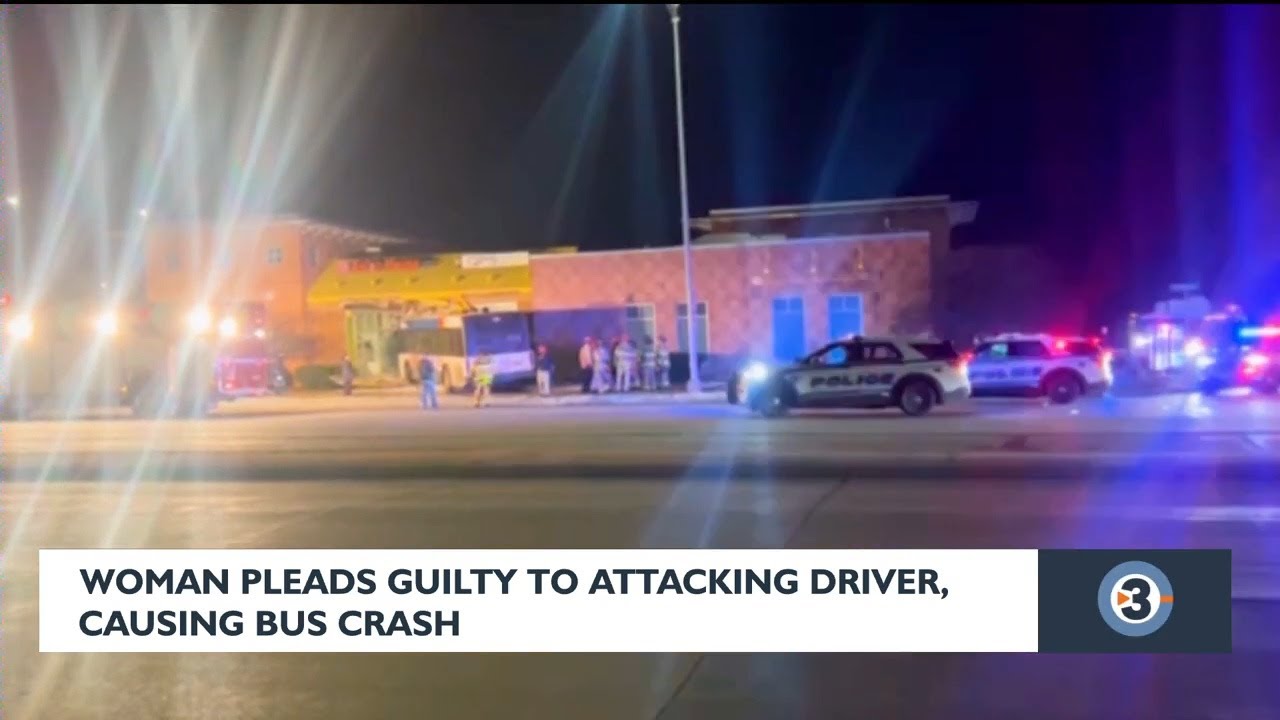 Woman pleads guilty to attacking bus driver, causing crash - YouTube