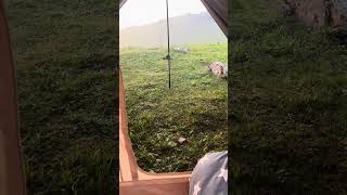 Good Camping Tent Good Outdoor Living