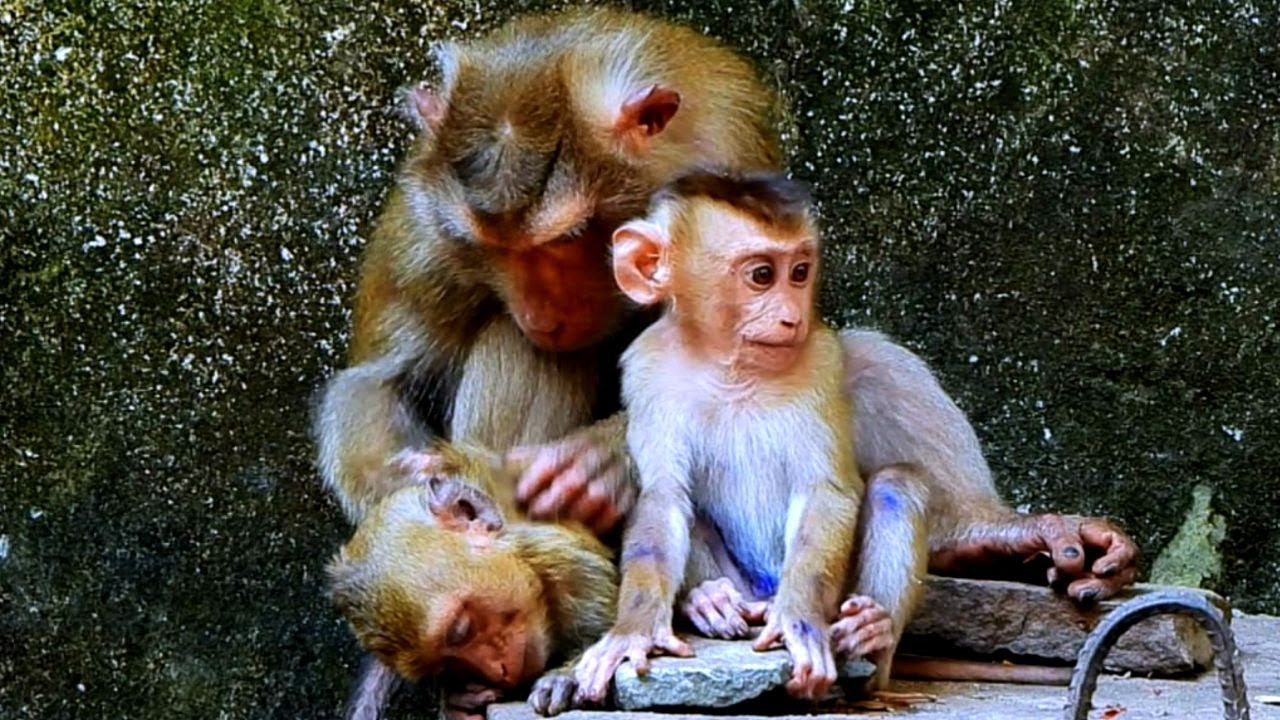 we-are-miss-you-mom-libby-sister-rainbow-waiting-you-at-home-please