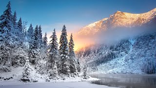 Beautiful Winter Snow Scene Relaxing Piano Music | Calm Winter Morning | December Stress Relief