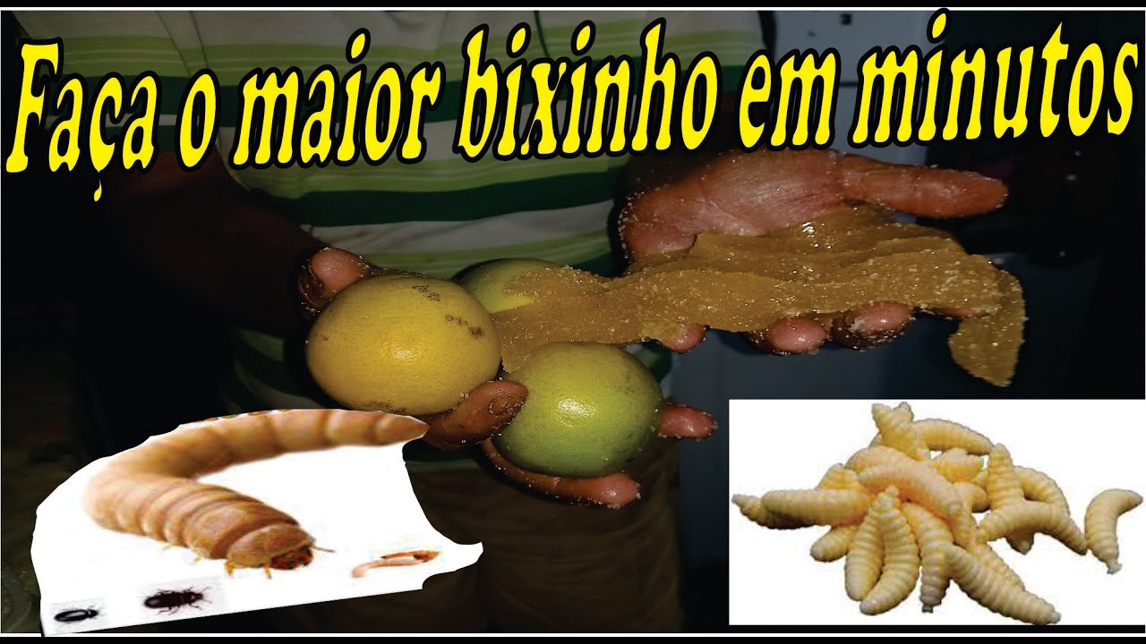 Como fazer o maior bixinho de laranja em Minutos