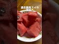 17.5キロの巨大スイカをゲット🍉リクガメたちにお裾分けしました