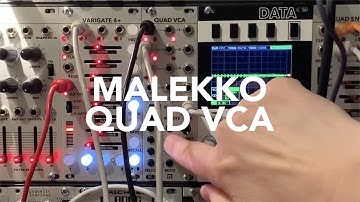 MALEKKO - QUAD VCA