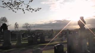 view of wind turbines from graveyard