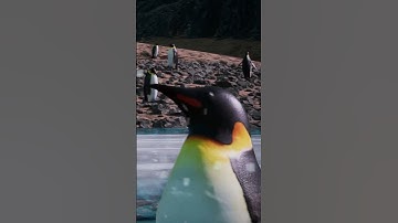 3D Animated Film Unreal Engine 5 #wildlife