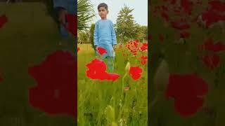 Shami Chaudhry vilogs #babyvilog #stunt #filmscore #skating #babyrapgod #moviemusic #cutebaby #buggy
