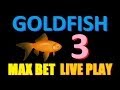 Gold Fish Casino Slots - Game - Facebook - YouTube