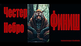 Честер Небро - Финиш